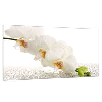shumee Steklena zaščitna plošča za štedilnik 90x52 Orchidea