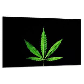 shumee Steklena zaščitna plošča za štedilnik 80x52 Leaf