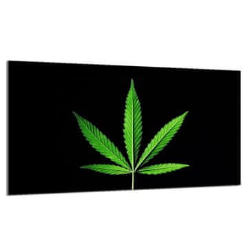 shumee Steklena zaščitna plošča za štedilnik 90x52 Leaf