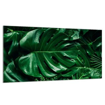 shumee Steklena zaščita za kuhalno ploščo 90x52 Monstera