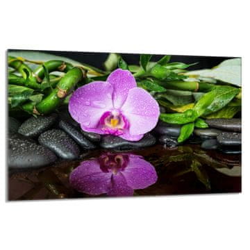 shumee Steklena zaščitna plošča za štedilnik 80x52 Orchidea