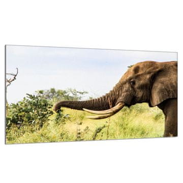 shumee Steklena zaščitna plošča za štedilnik 90x52 Elephant