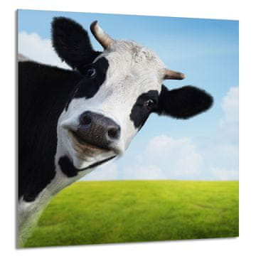 shumee STEKLENA PLOŠČA ZA KUHINJO 60x65 Cow