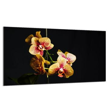 shumee Steklena zaščitna plošča za štedilnik 90x52 Orchidea
