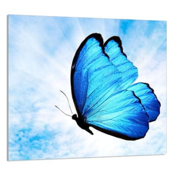 shumee STEKLENA PLOŠČA ZA KUHINJO 65x60 Metulj