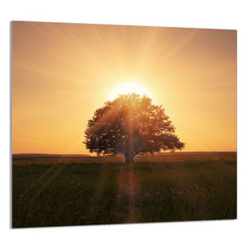 shumee STEKLENA PLOŠČA ZA KUHINJO 65x60 Drevo