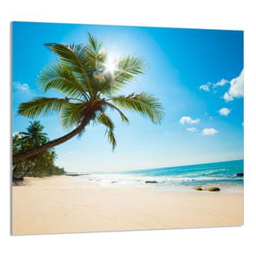 shumee STEKLENA PLOŠČA ZA KUHINJO 65x60 Beach