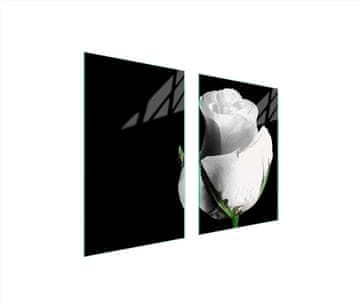 shumee ZAŠČITNA STEKLENA KROŽNIK ZA KUHINJO 65x52 ROSE