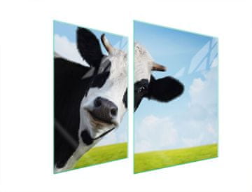 shumee STEKLENA ZAŠČITNA PLOŠČA ZA ŠTEDILNIK 70x52 COW