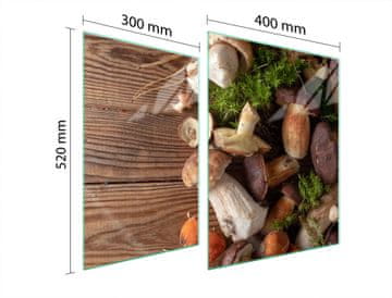 shumee STEKLENA ZAŠČITNA PLOŠČA ZA ŠTEDILNIK 70x52 GOBE