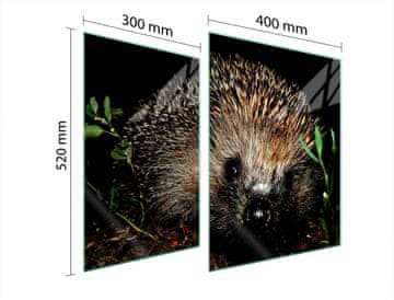 shumee STEKLENA ZAŠČITNA PLOŠČA ZA ŠTEDILNIK 70x52 HEDGEHOG
