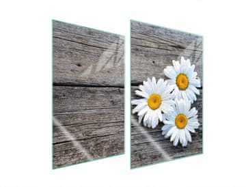 shumee ZAŠČITNA STEKLENA PLOŠČA ZA KUHINJO 2x35x52 DAISY