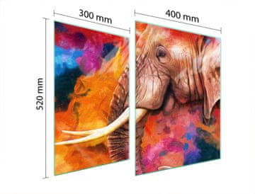 shumee STEKLENA ZAŠČITNA PLOŠČA ZA ŠTEDILNIK 70x52 ELEPHANT