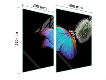 shumee STEKLENA ZAŠČITNA PLOŠČA ZA ŠTEDILNIK 70x52 BUTTERFLY