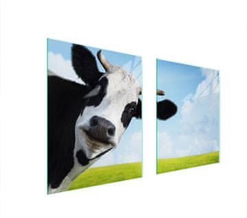 shumee STEKLENA ZAŠČITNA PLOŠČA ZA ŠTEDILNIK 85x52 COW