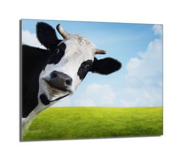 shumee Steklena zaščitna plošča za štedilnik 60x52 Cow