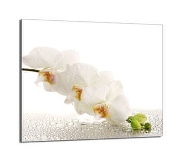 shumee Steklena zaščitna plošča za štedilnik 60x52 Orchidea