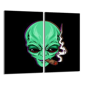 shumee Steklena zaščitna plošča za štedilnik 2x30x52 UFO