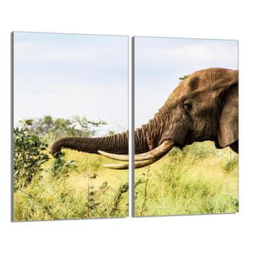 shumee Steklena zaščitna plošča za štedilnik 2x30x52 Elephant