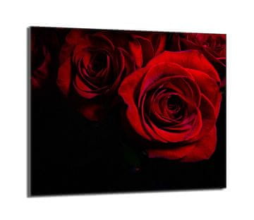 shumee Steklena zaščitna plošča za štedilnik 60x52 Rose