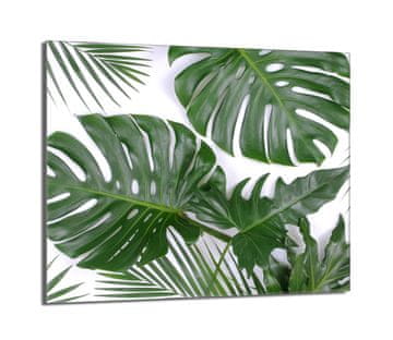 shumee Steklena zaščita za kuhalno ploščo 60x52 Monstera