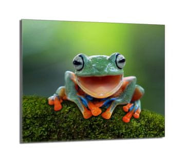 shumee Steklena zaščitna plošča za štedilnik 60x52 Frog