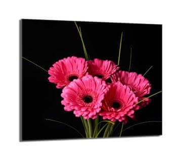shumee Zaščita za stekleno kuhalno ploščo 60x52 Gerbera