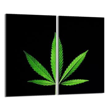shumee Steklena zaščitna plošča za štedilnik 2x30x52 Leaf