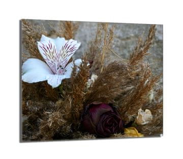 shumee Steklena zaščitna plošča za štedilnik 60x52 Orchidea