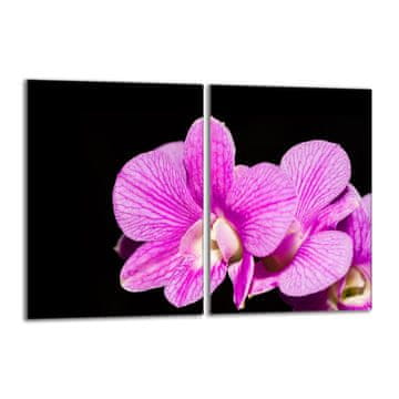 shumee Steklena zaščitna plošča za štedilnik 2x40x52 Orchidea