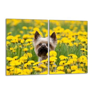 shumee Steklena zaščitna plošča za štedilnik 2x40x52 Dog