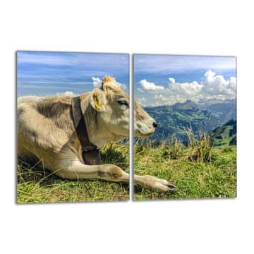 shumee Steklena zaščitna plošča za štedilnik 2x40x52 Cow