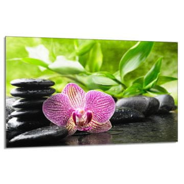 shumee Steklena zaščitna plošča za štedilnik 80x52 Orchidea
