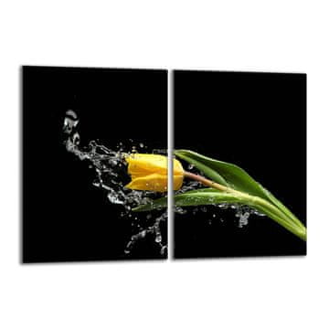 shumee Steklena zaščitna plošča za štedilnik 2x40x52 Tulip
