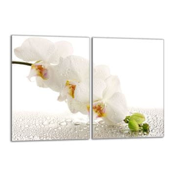 shumee Steklena zaščitna plošča za štedilnik 2x40x52 Orchidea