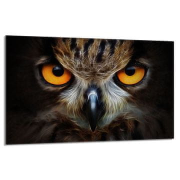 shumee Steklena zaščitna plošča za štedilnik 80x52 Owl