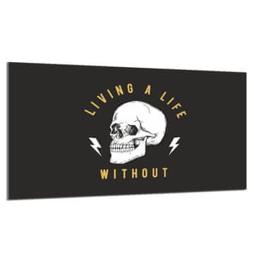 shumee Steklena zaščita za kuhalno ploščo 90x52 Skull