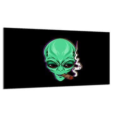 shumee Steklena zaščitna plošča za štedilnik 90x52 UFO