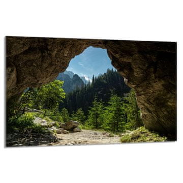 shumee Zaščita za stekleno štedilnik 80x52 Drevesa