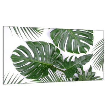 shumee Steklena zaščita za kuhalno ploščo 90x52 Monstera