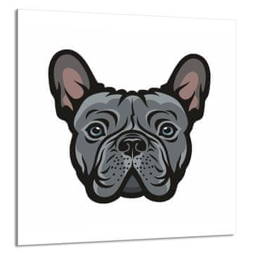 shumee STEKLENA PLOŠČA ZA KUHINJO 60x65 Pes