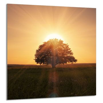 shumee STEKLENA PLOŠČA ZA KUHINJO 60x65 Drevo