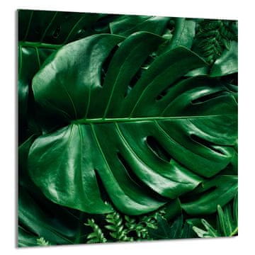 shumee STEKLENA PLOŠČA ZA KUHINJO 60x65 Monstera