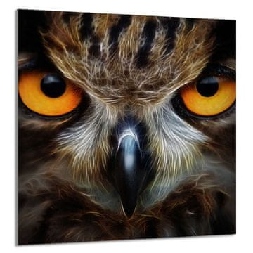 shumee STEKLENA PLOŠČA ZA KUHINJO 60x65 Sova