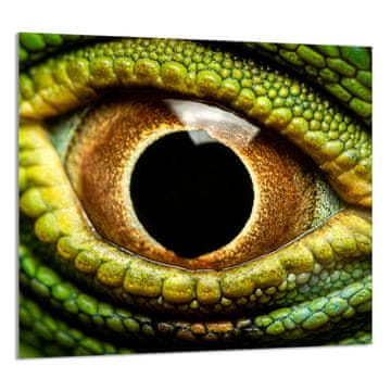 shumee STEKLENA PLOŠČA ZA KUHINJO 65x60 Oko