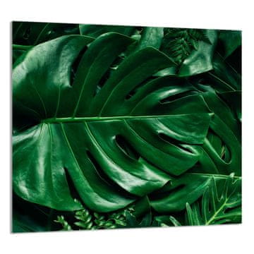 shumee STEKLENA PLOŠČA ZA KUHINJO 65x60 Monstera