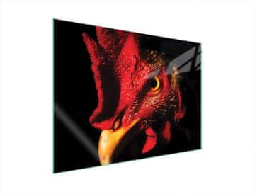 shumee STEKLENA ZAŠČITNA PLOŠČA ZA ŠTEDILNIK 70x52 ROOSTER