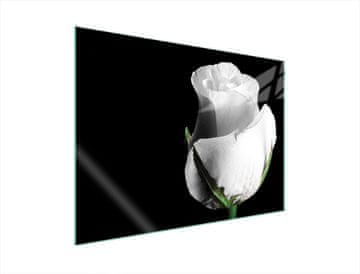 shumee STEKLENA ZAŠČITNA PLOŠČA ZA ŠTEDILNIK 70x52 ROSE