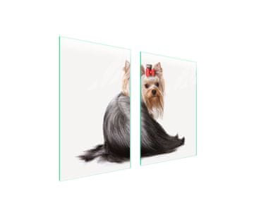 shumee STEKLENA ZAŠČITNA KROŽNIKA ZA KUHINJO 65x52 DOG