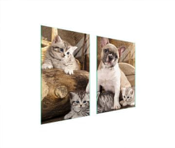 shumee STEKLENA ZAŠČITNA KROŽNIKA ZA KUHINJO 65x52 DOG